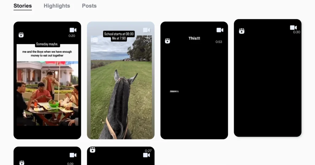 view insta stories anonymously using instanavigation