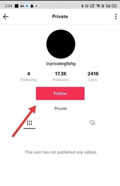 tik tok private account