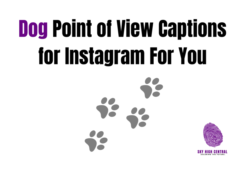 Dog Point of View Captions for Instagram