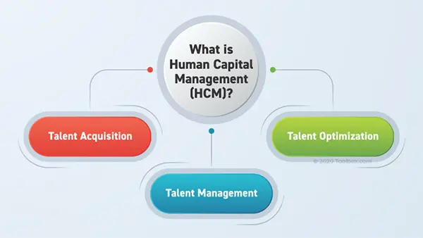 what does HCM stand for